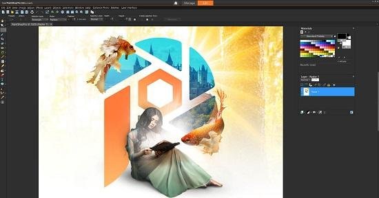 Corel Paint Shop Pro XI(Portable) Download Pc