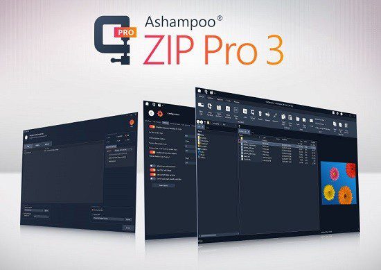 Ashampoo Zip Pro 4.50.01 free instal