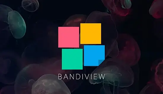 bandiview-portable bandiview-portable