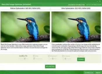 black-bird-image-optimizer-pro-portable