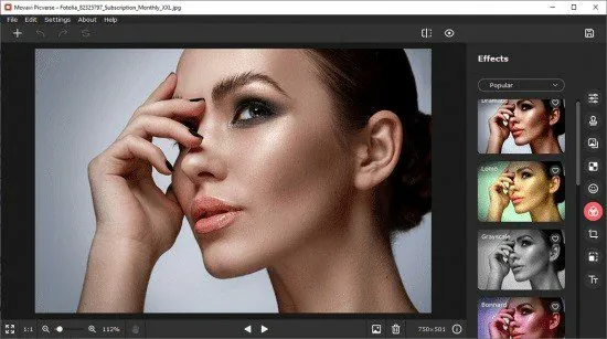 download-movavi-picverse-portable