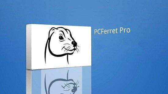 pcferret-pro-portable