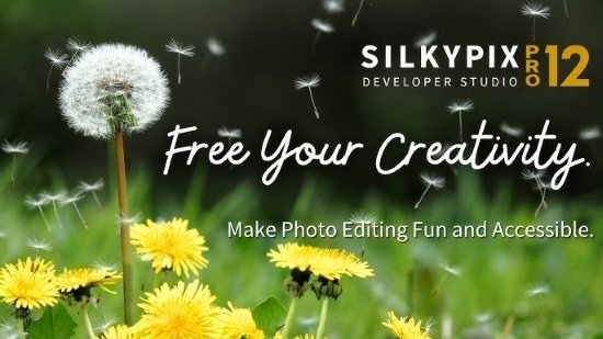 silkypix-developer-portable