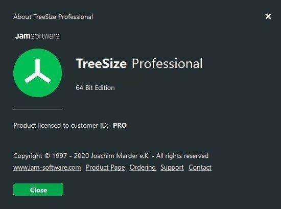 treesize portable professional